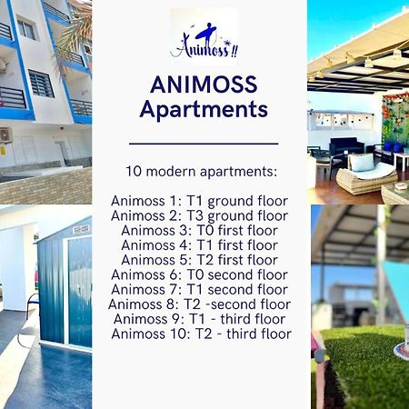 Animos! Apartments - 10 Modern Apartments Near The City & Beach, Perfect For Nomads, Travellers, Families, Watersports! Santa Maria Dış mekan fotoğraf