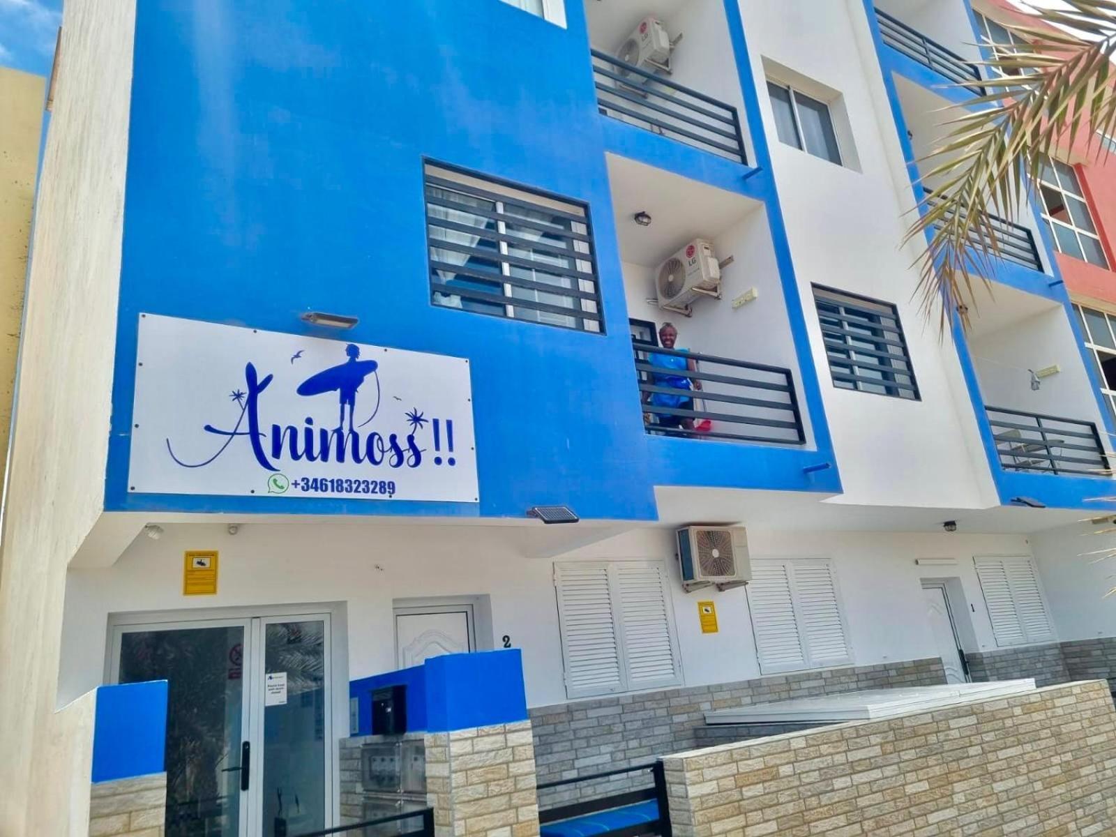 Animos! Apartments - 10 Modern Apartments Near The City & Beach, Perfect For Nomads, Travellers, Families, Watersports! Santa Maria Dış mekan fotoğraf
