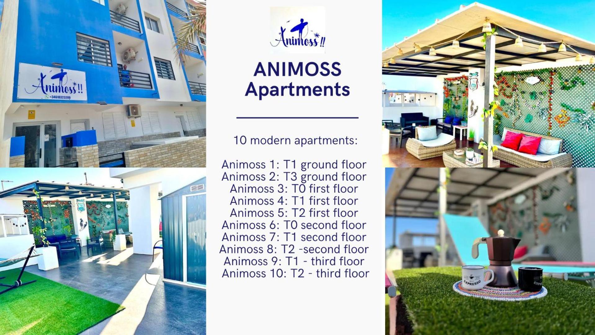 Animos! Apartments - 10 Modern Apartments Near The City & Beach, Perfect For Nomads, Travellers, Families, Watersports! Santa Maria Dış mekan fotoğraf